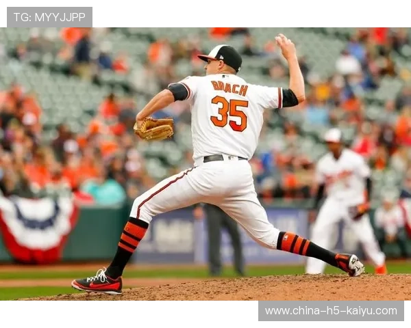 板球联盟新赛季开打，国内多支队伍参与竞逐