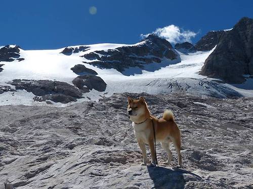 中超比赛实际控球与战术控球关系解读，足球控球率是什么意思