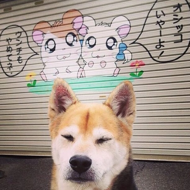 中超比赛数据录入标准化研究,中超技术数据统计