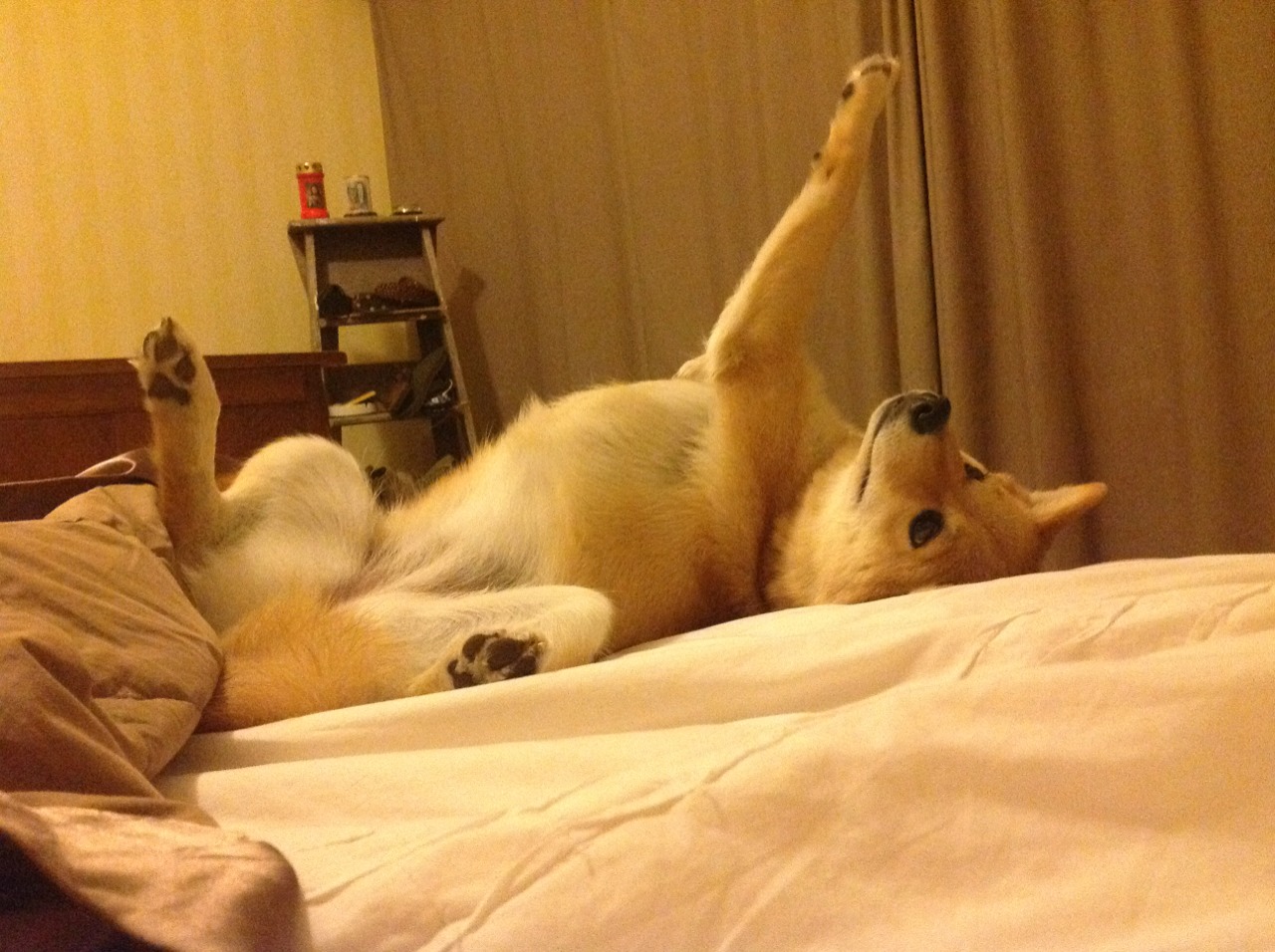 开云体育足球-新闻中心签署重要合作协议，新闻中心签署重要合作协议怎么写