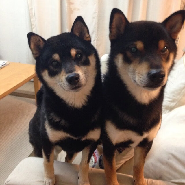 博洛尼亚积极逼抢令对方难以组织,博洛尼亚宣言成员