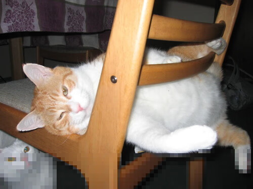 开云体育娱乐-精准出发时机助力秒差优势扩大，精准出击是什么意思