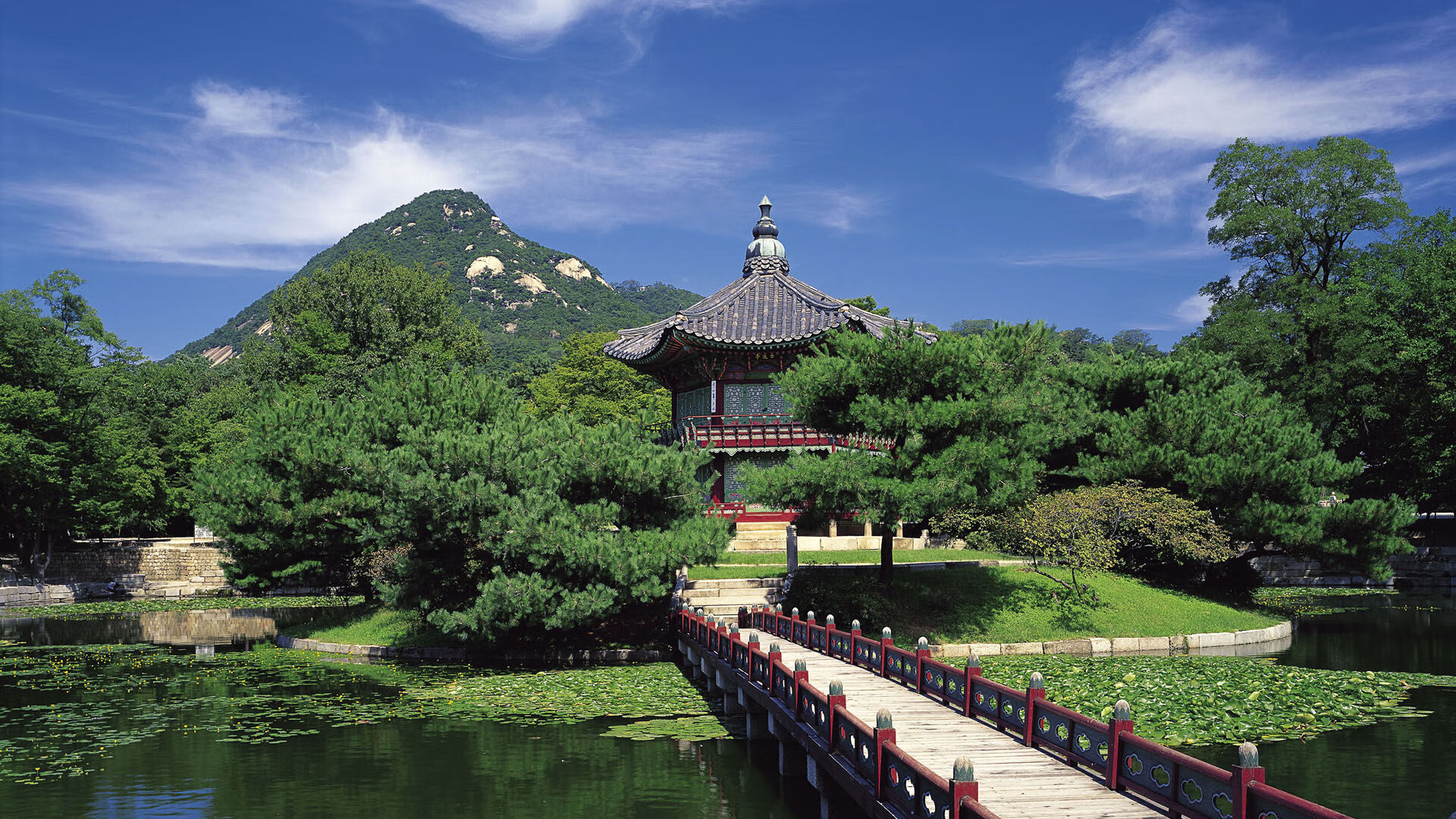 都灵中前场多点联动提升进攻效率,都灵队前锋