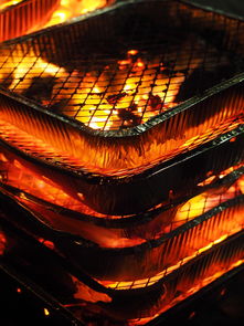 开云体育app官网-森林狼主场布景焕然一新增强品牌识别度，森林狼logo