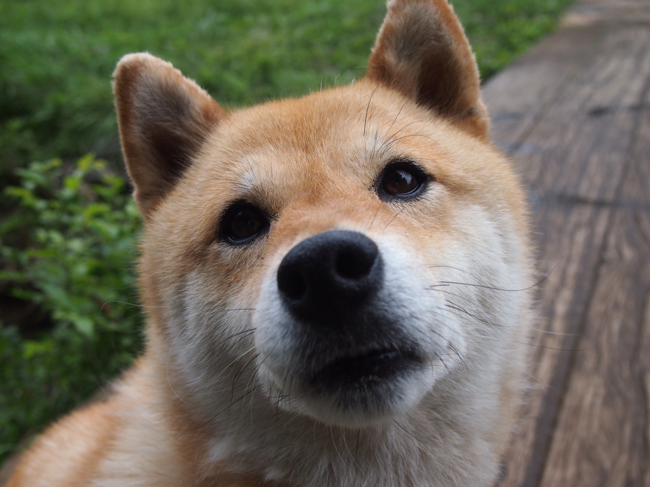 开运体育电脑版-森林狼更衣室氛围影片引人泪目，森林狼男装