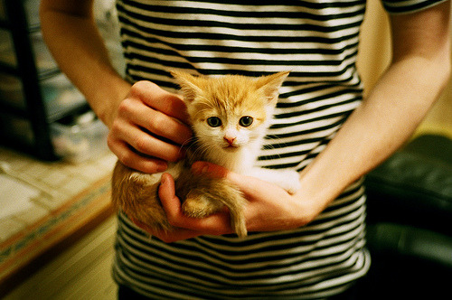 球队启动赛季冲刺计划集中资源力拼每一场关键对决,赛季冲刺活动大概多久