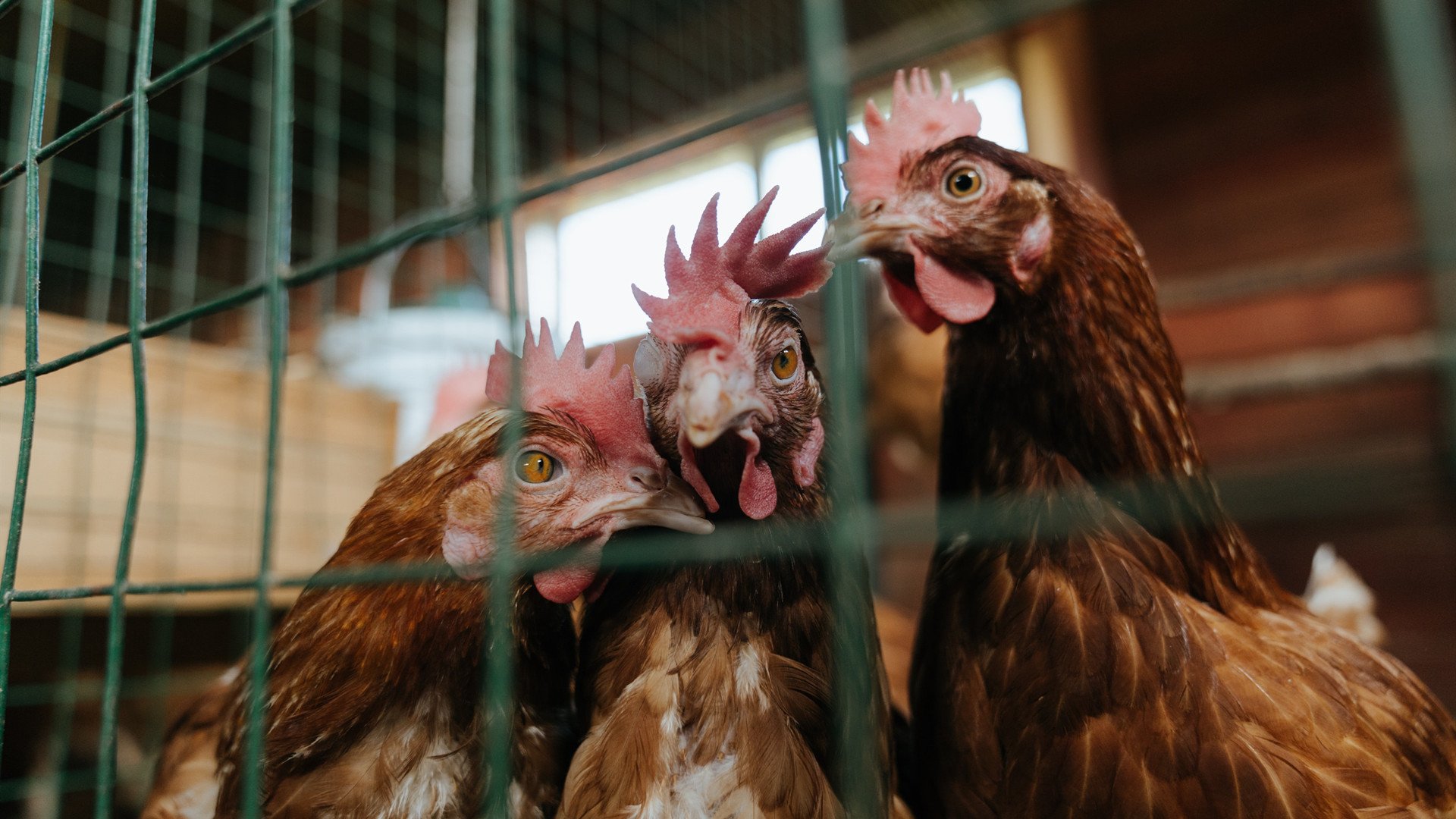 电子竞技全球热潮 新赛事引发关注,电子竞技全球热潮 新赛事引发关注的是