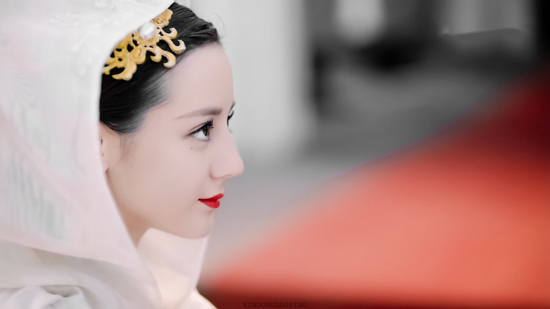 美洲杯明星闪耀:天赋与努力的完美结合,美洲杯有哪些明星