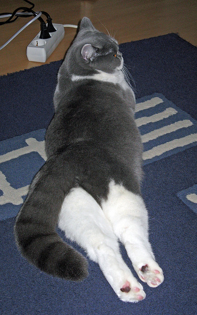 开云体育app在线-中国网协打造青训新标杆，中国网协青少年赛事