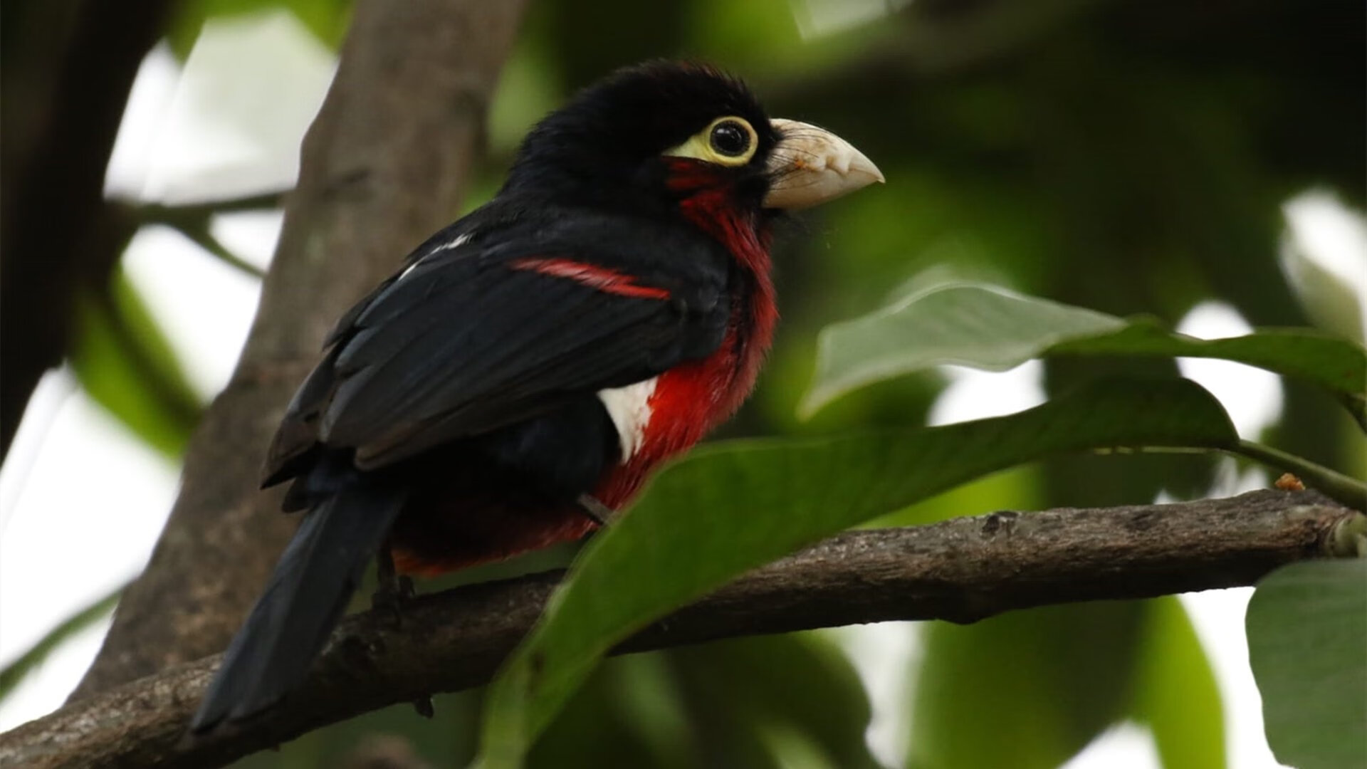 中国足球青训基地人才培养新模式研究与实践，中国足球青训体系是什么