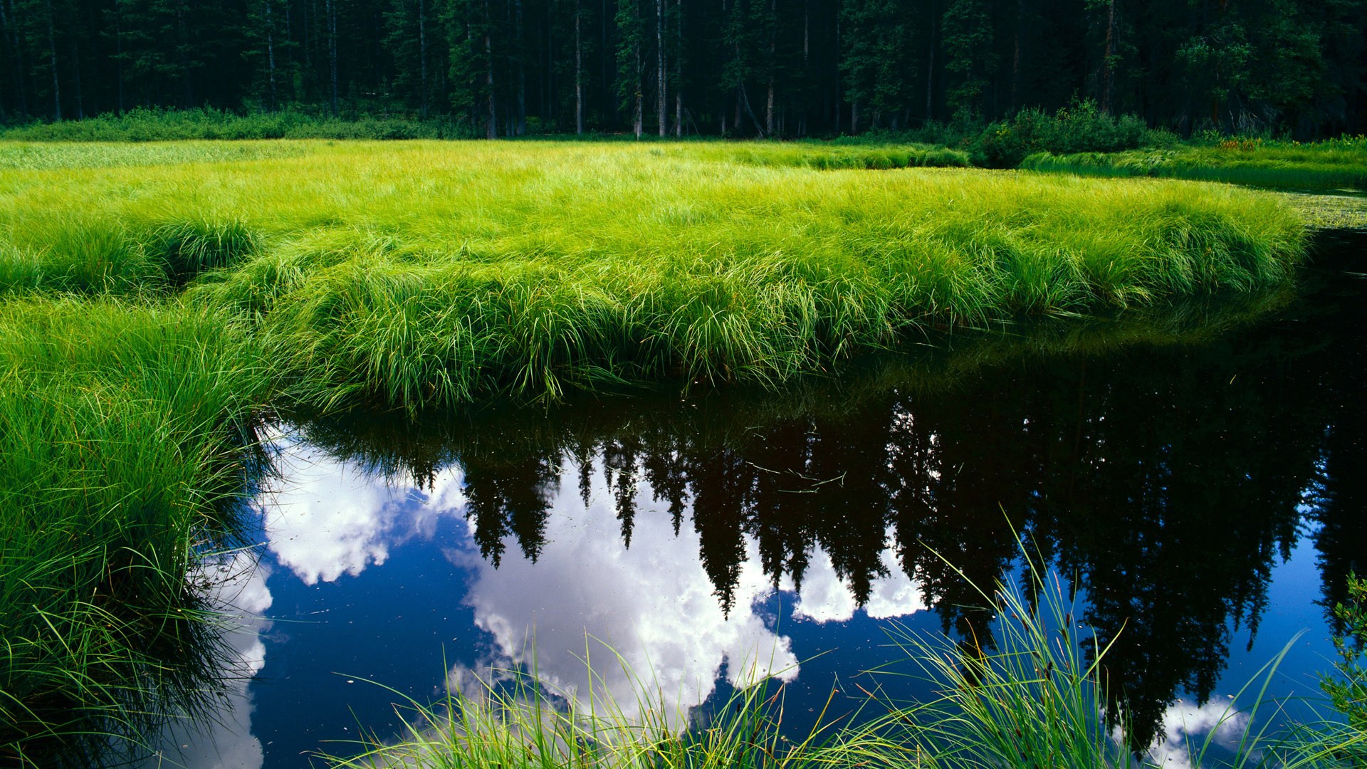 五大联赛门将开球风格分析与对比,五大联赛门将不失球记录