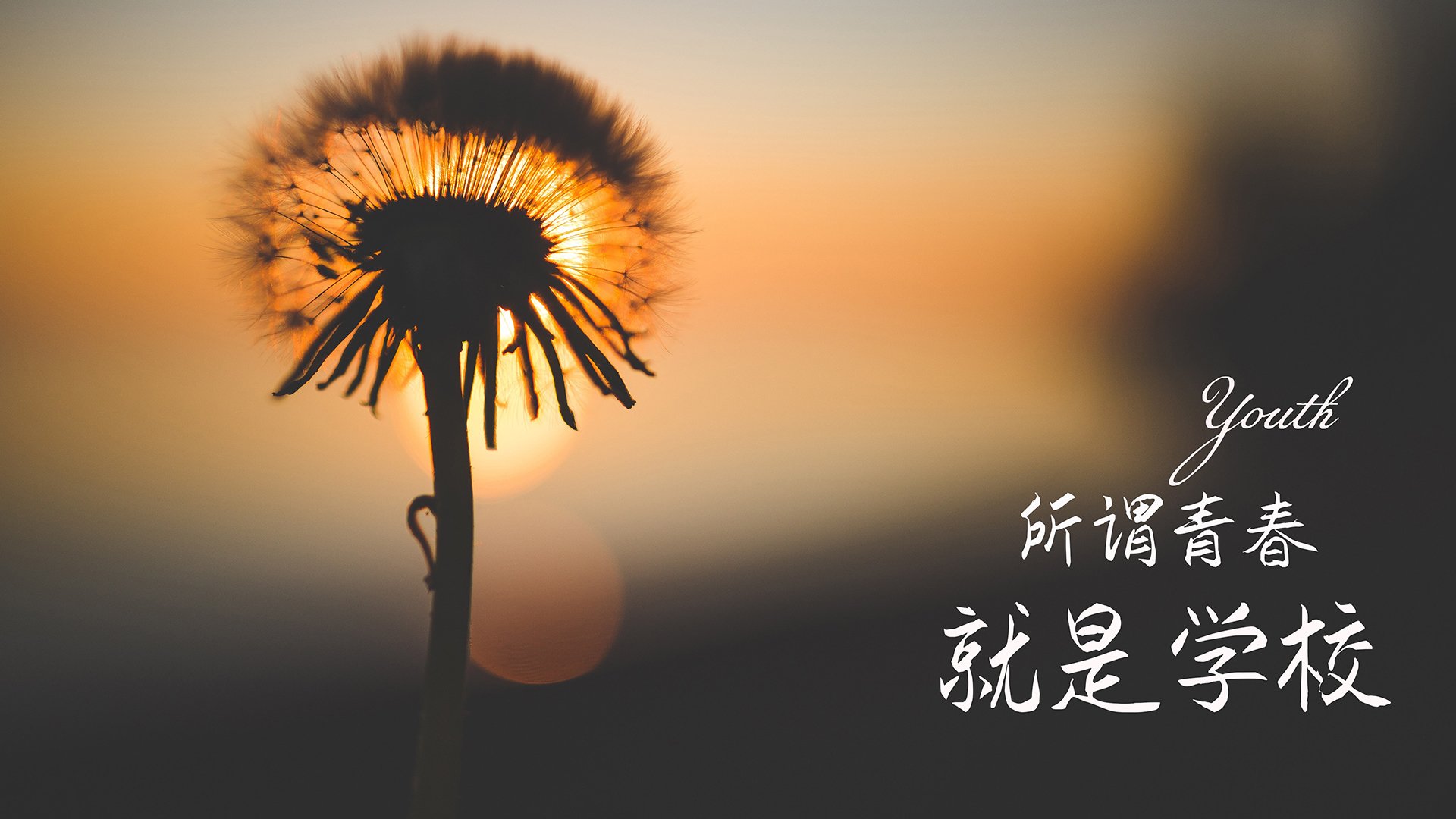 内森‑泰拉：之前只是热身阶段，现在才真正开始